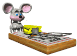 mouse facing mousetrap